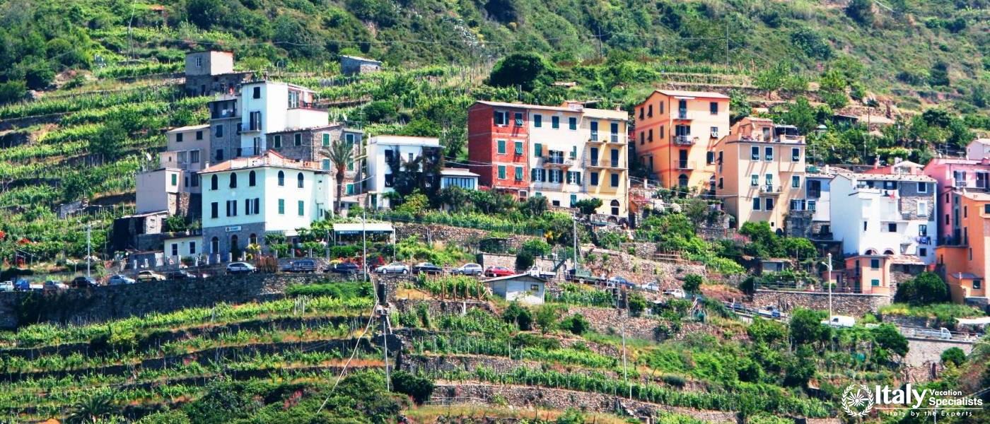 Cinque Terre Vineyard Trails - Corniglia 