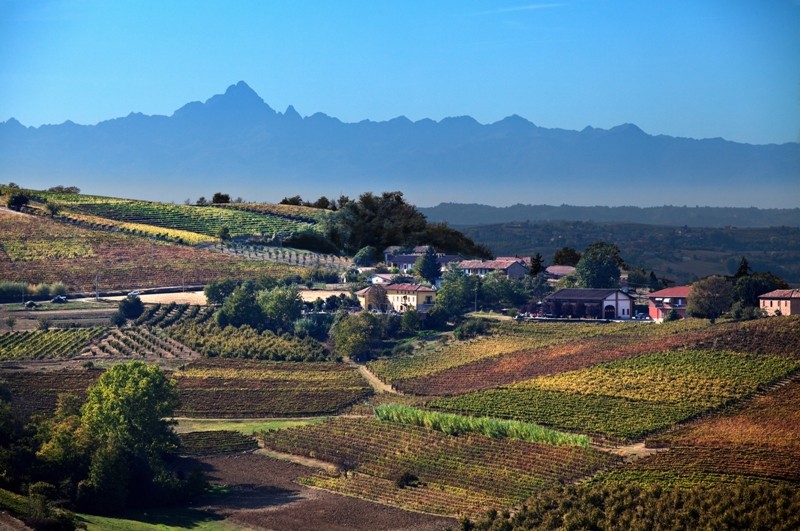 Vineyards near Asti, Piedmont, Italy