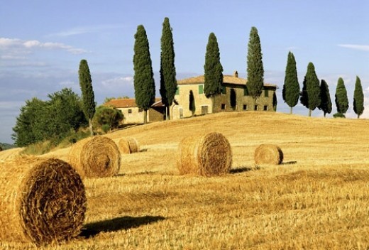 Countryside, Arezzo 