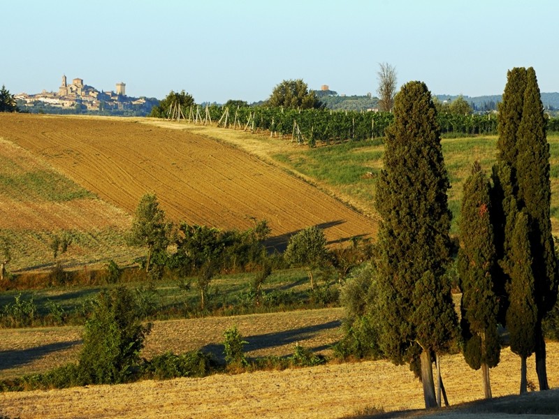 Landscape near Arezzo, Tuscany 