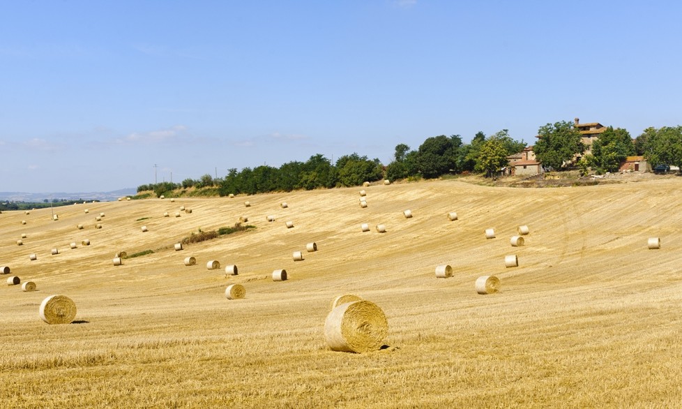 Arezzo, Tuscany Farmland 