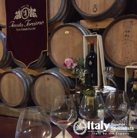 Amazing wines in Tenuta Torciano