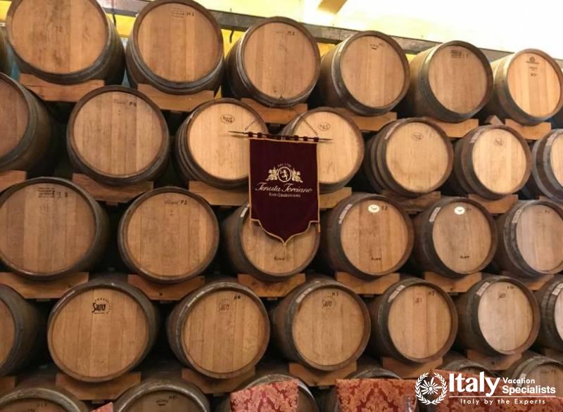 Wonderful vineyard in Tenuta Torciano