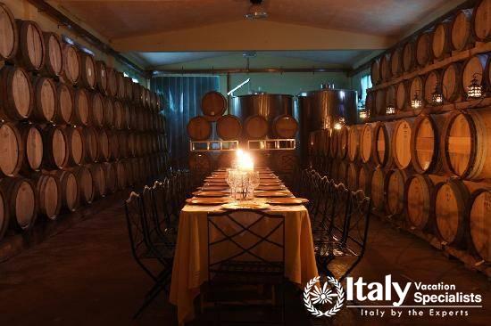 Wonderful vineyard in Tenuta Torciano Winery