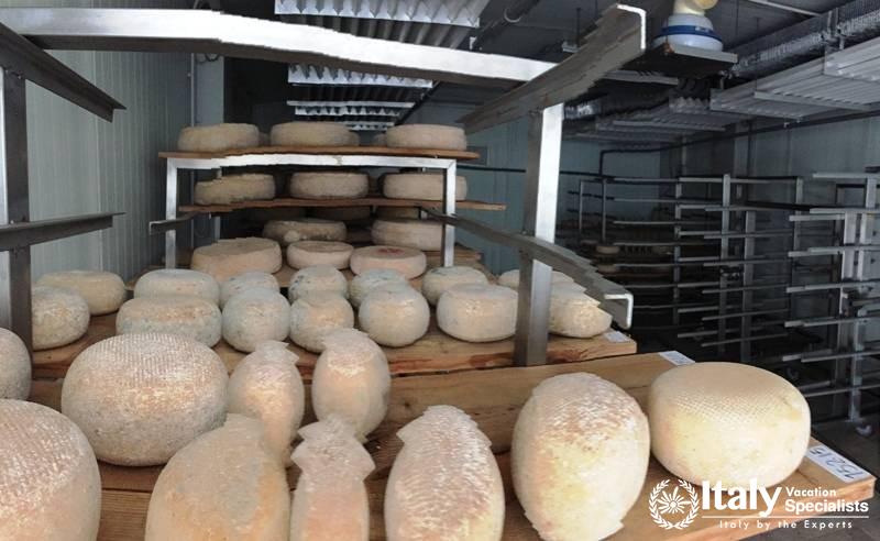 On-Site Cheese Production at La Parrina, Tuscany 