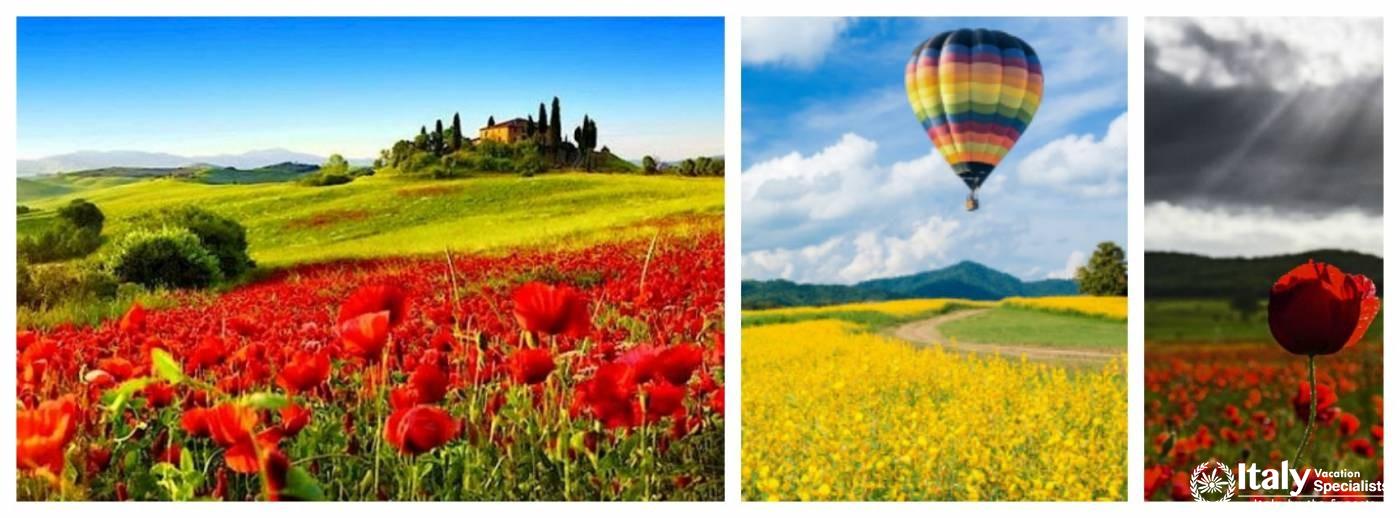Val D'Orcia Apartment In Tuscany 