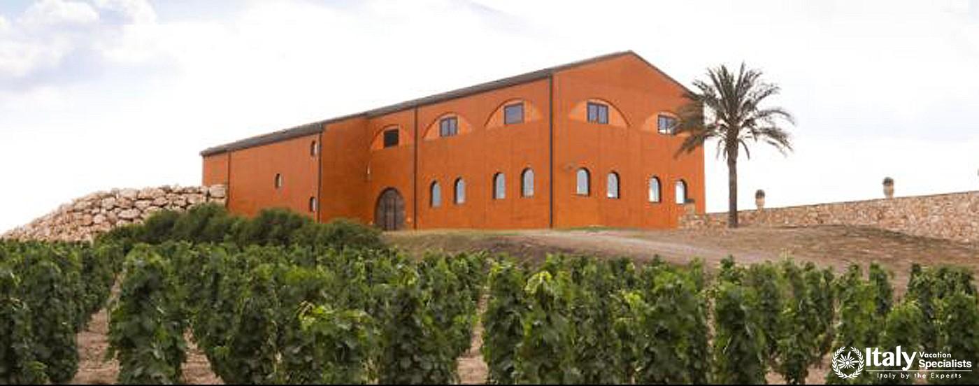 Overview of Tenuta Sette Ponti