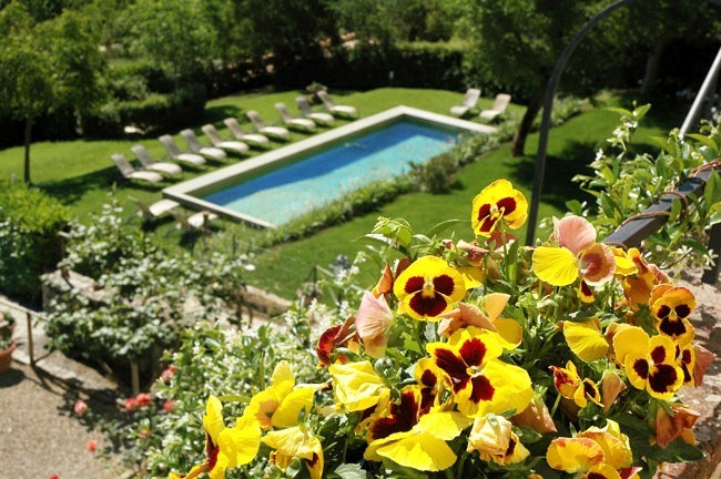 Palazzo Squarcialupi Swimming Pool 