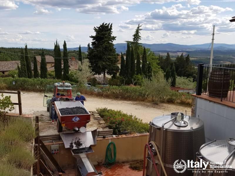 A scenic view of grape processing at SantAgnese Farm with the Tuscan landscape in the background.