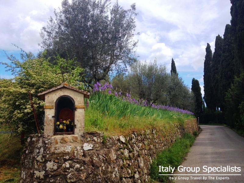 Road leading up to the Villa Vignmaggio Estate in Chianti, Tuscany 