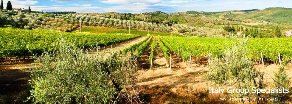 Vignamaggion Wine Estate in Tuscany