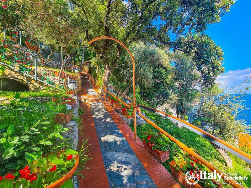Pathway Surrounded by Flowering Plants in Villa Bellissima Vista Mare in Campania, Italy