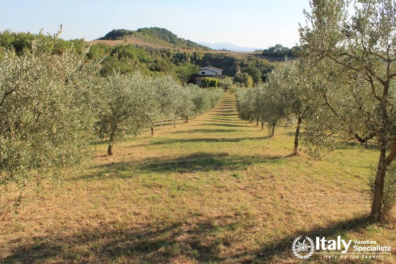 Umbria 