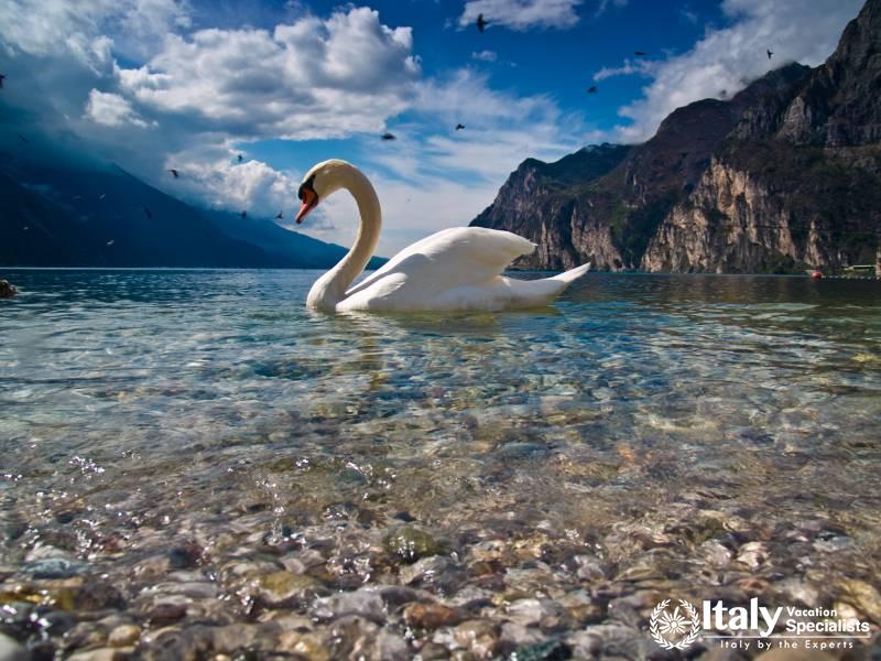 Lake Garda Full Day Tours with Italy Vacation Specialists  Lake Garda Full Day Tours with Italy Vacation Specialists