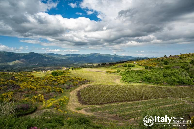 Winery on the slopes of Mount Etna