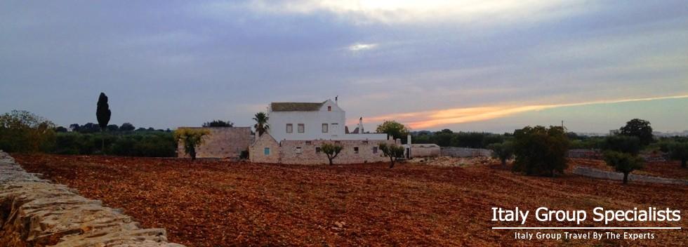 Beautiful Countryside of the Puglia Region, Photo by Jesse Andrews 