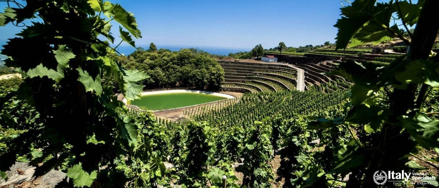Etna Wine Experience 