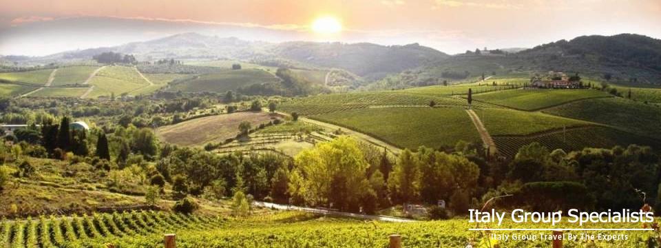 Vineyards as Seen from Castellina in Chianti 